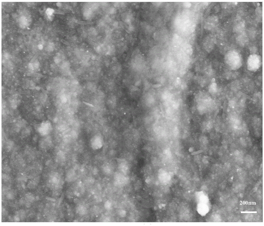 Preparation method of conducting polymer composite nano-film material