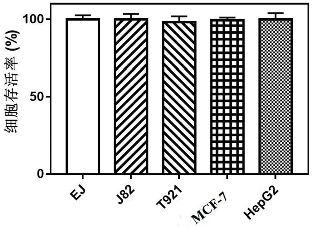 Targeted nanomedicine for overcoming drug resistance caused by tumor hypoxia based on MRI guidance and its preparation method and application