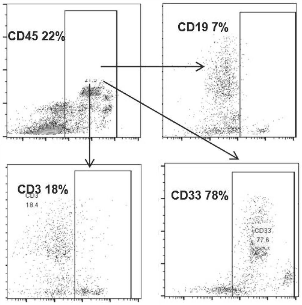 Method for extracting high-quality B cells from bone marrow, peripheral blood and lymphoma tissue