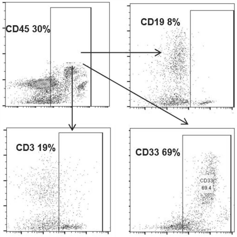 Method for extracting high-quality B cells from bone marrow, peripheral blood and lymphoma tissue