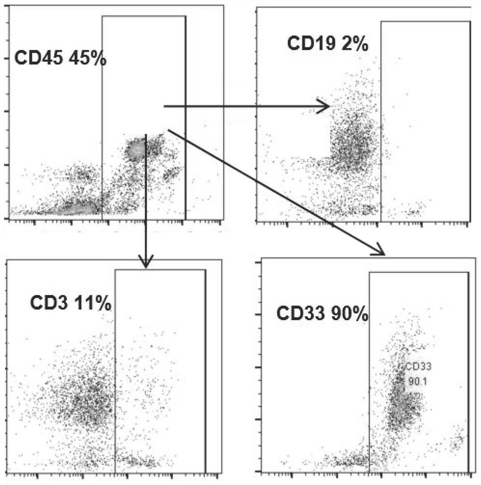 Method for extracting high-quality B cells from bone marrow, peripheral blood and lymphoma tissue