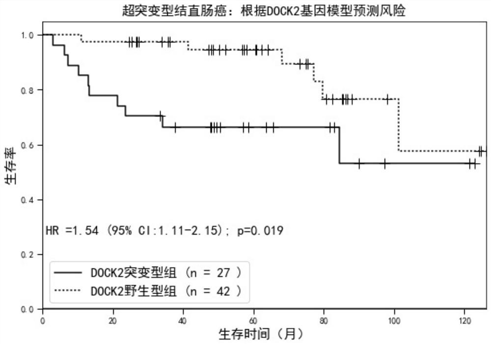 Genes for molecular typing of hypermutated tumors and their application