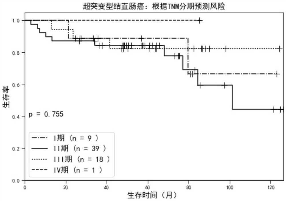 Genes for molecular typing of hypermutated tumors and their application