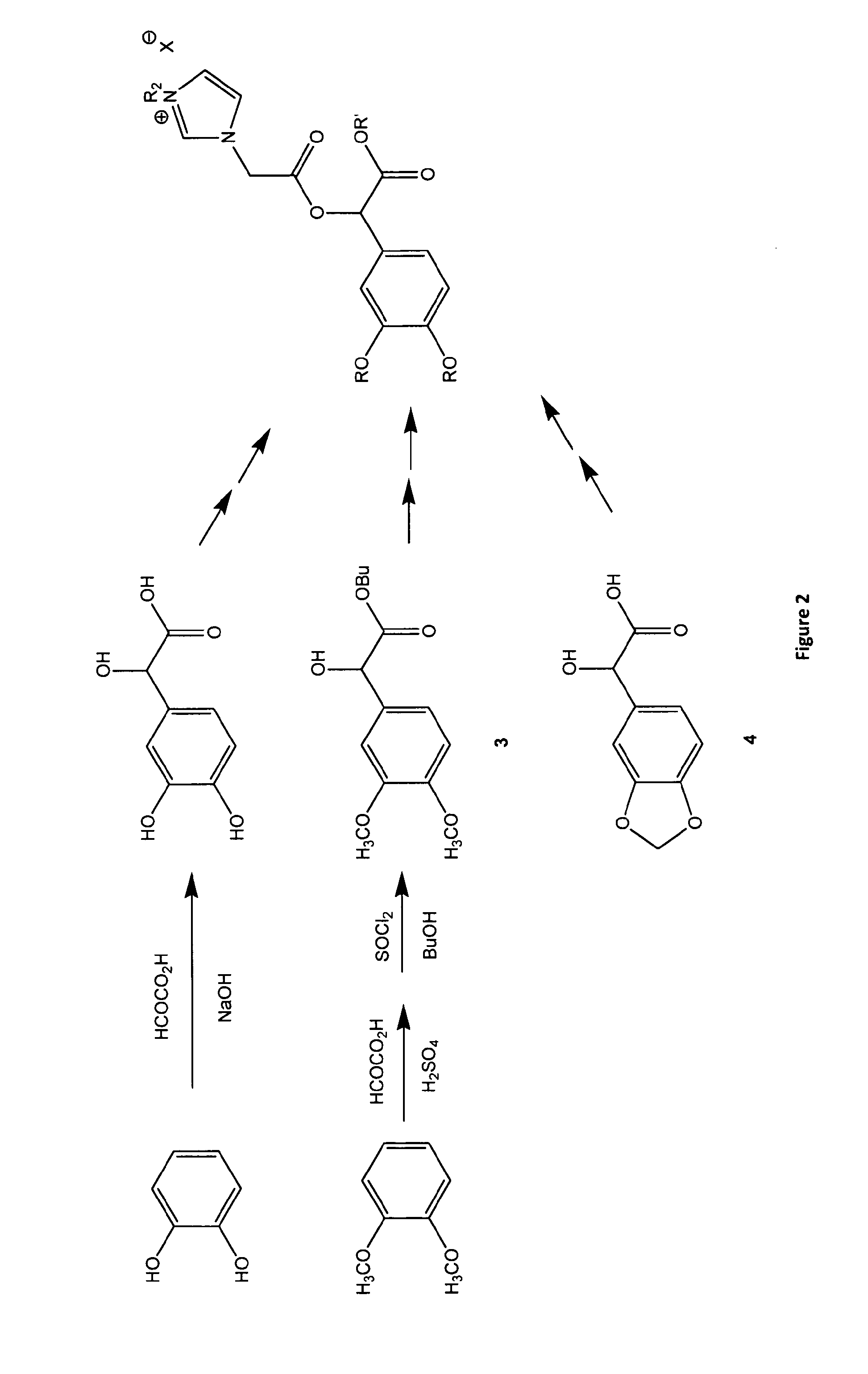 Ionic Liquid Solvents