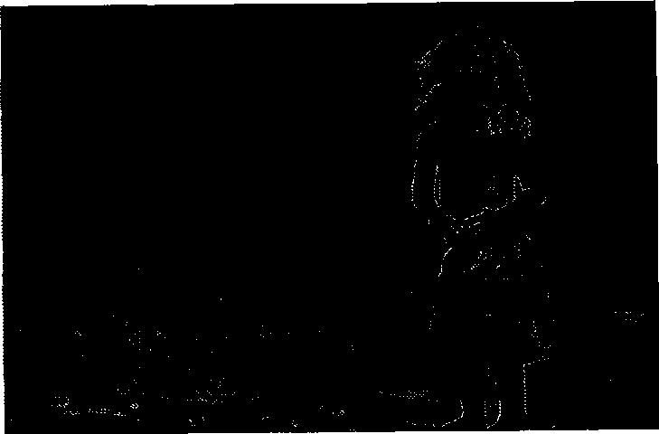 Image self-adapting method based on vision significance