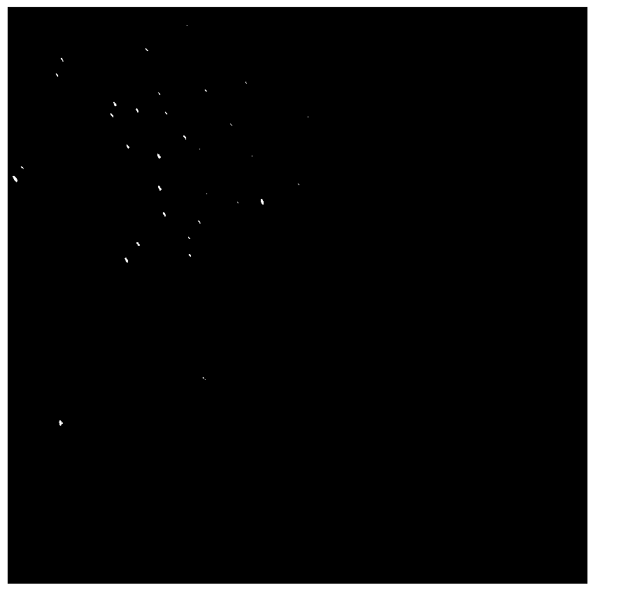 Serratia marcescens NlM280 and application thereof as insecticide