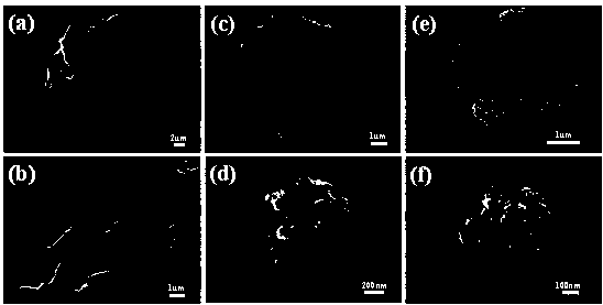 Preparation method and application of MoS2/rGO-CN composite material