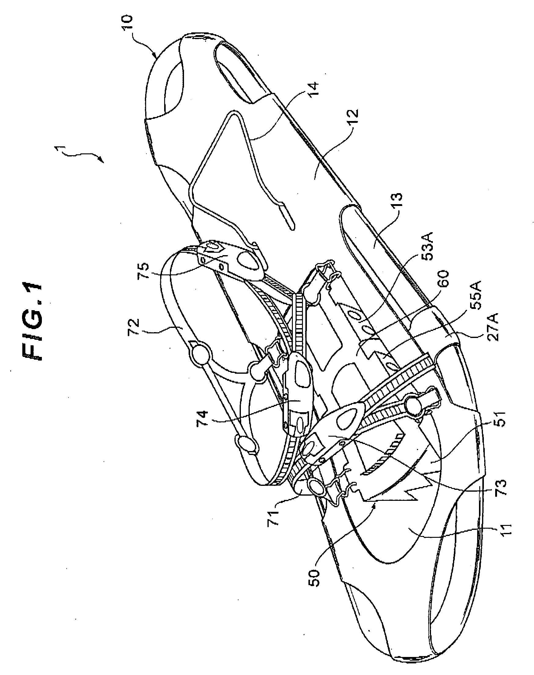 Snowshoes with crampons