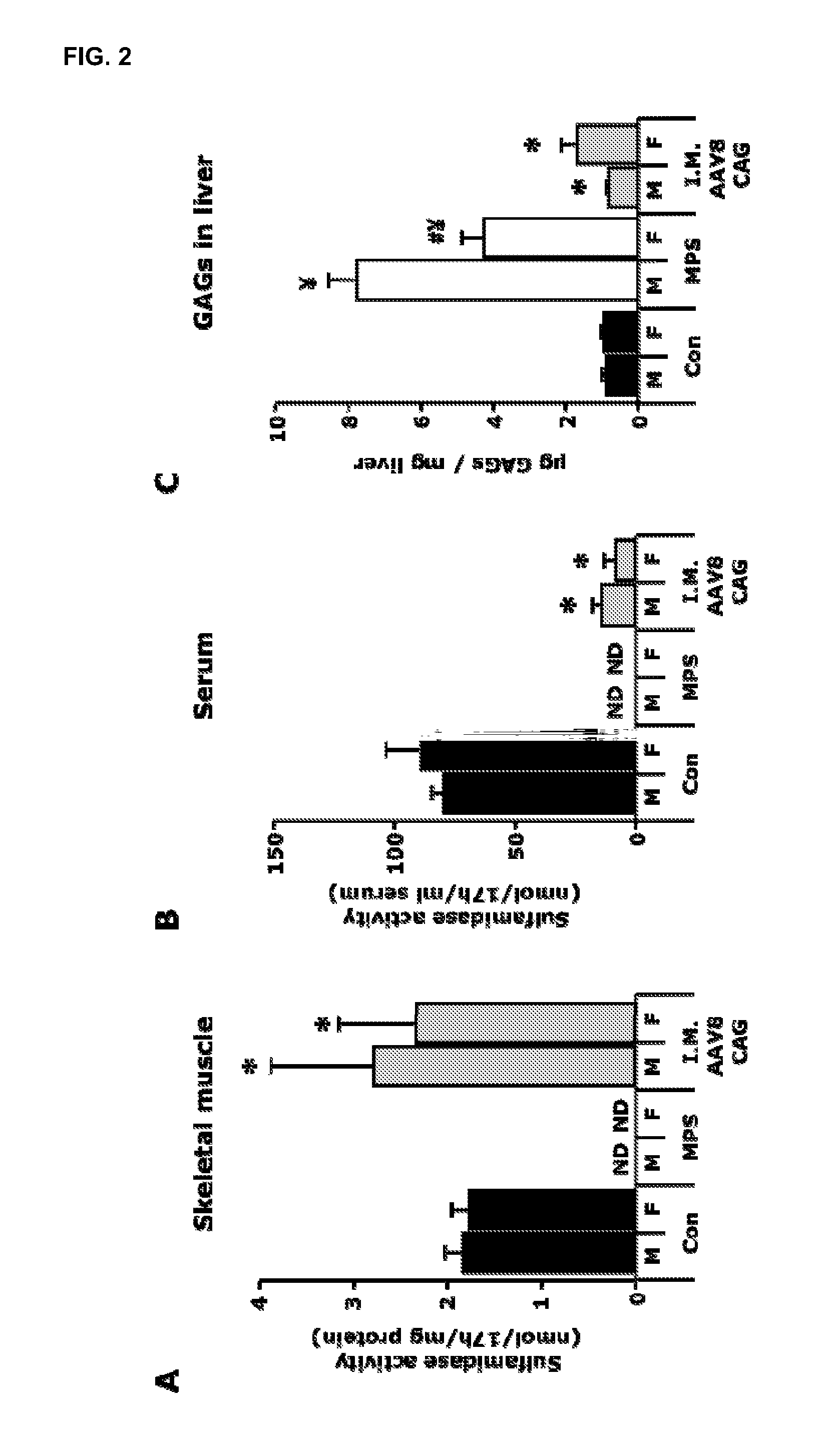 Vectors and sequences for the treatment of diseases