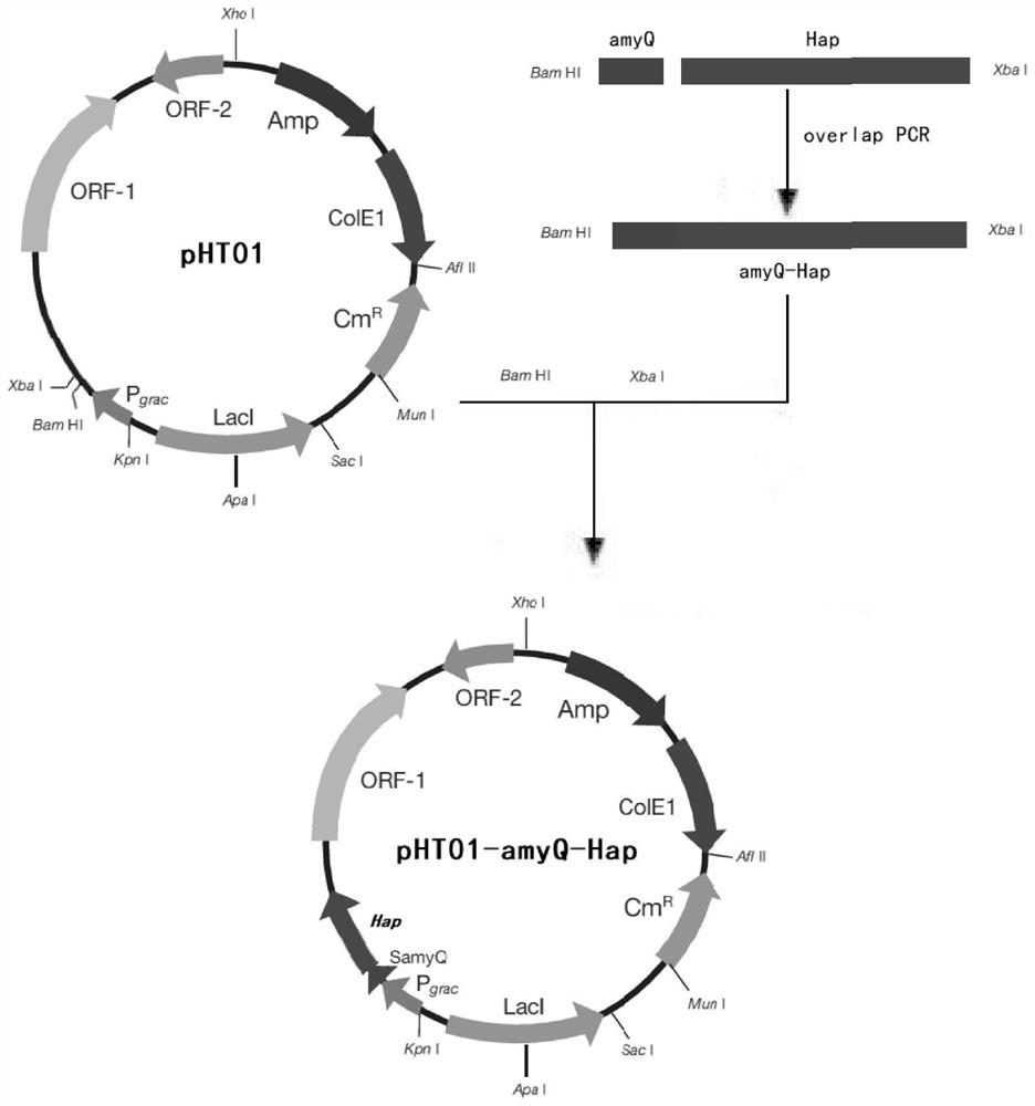 Genetically engineered bacterium for producing heparinase and application of genetically engineered bacterium in preparation of small-molecular heparin