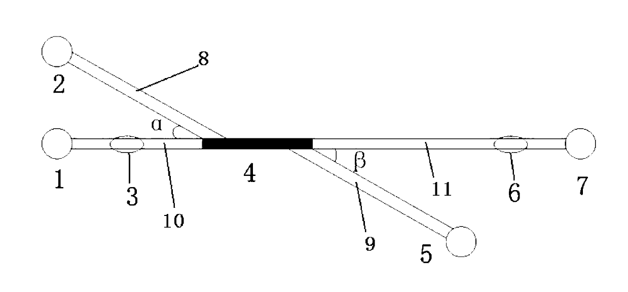 Micro-fluidic agglutinin chip for glycosyl separation, and preparation method thereof