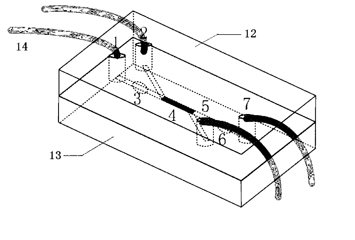 Micro-fluidic agglutinin chip for glycosyl separation, and preparation method thereof