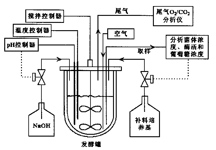 Technique method for preparing hydratase of carbonitrile mitrile by using glucose-CO2+ coupling adding ferment