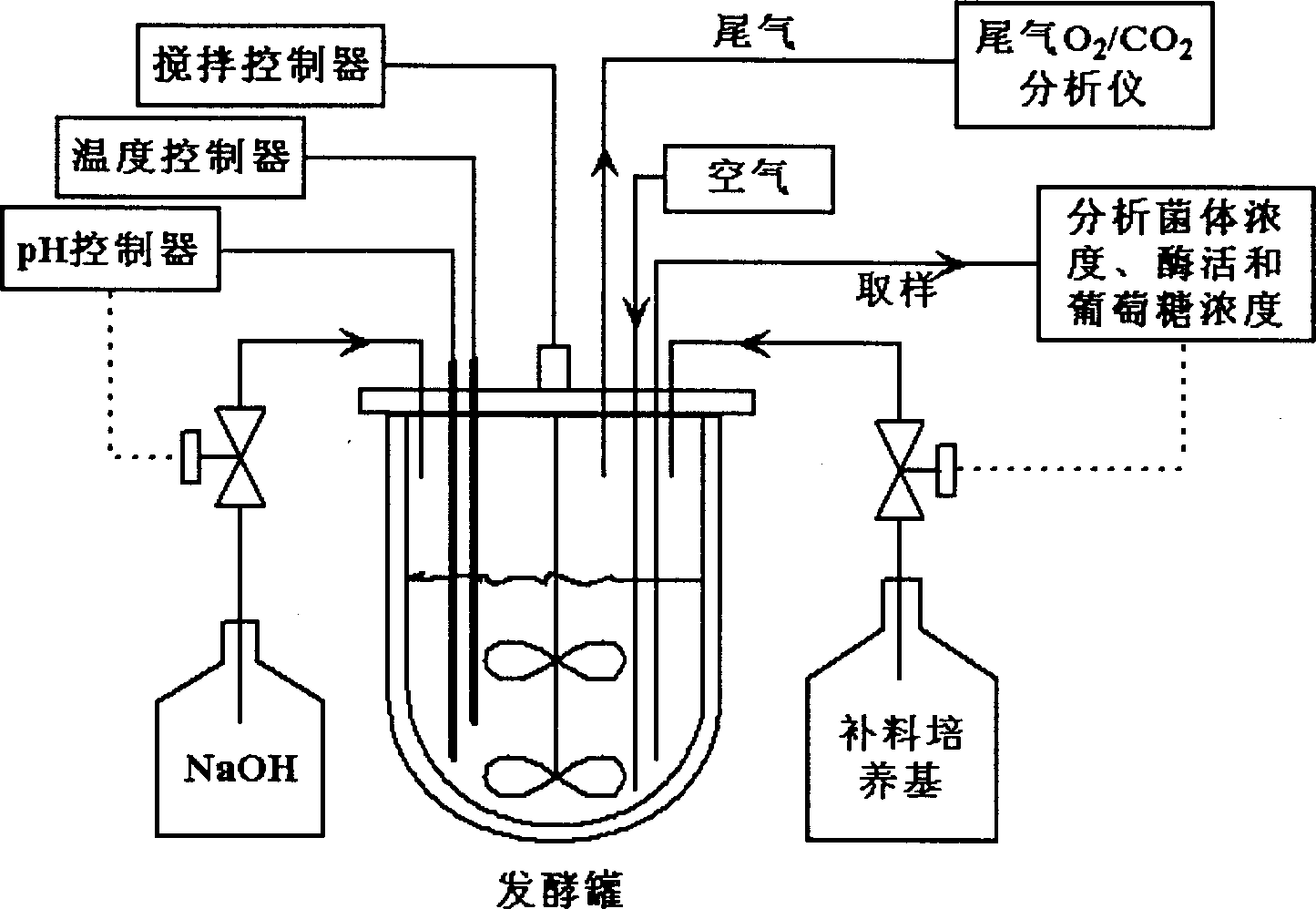 Technique method for preparing hydratase of carbonitrile mitrile by using glucose-CO2+ coupling adding ferment