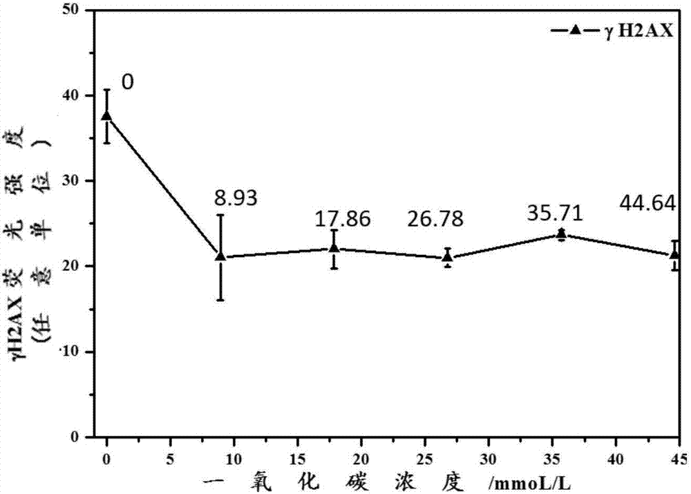 Method for quantitative detection of carbon monoxide induced cell DNA injury by adopting gas-liquid interface exposure system combined with high content technique