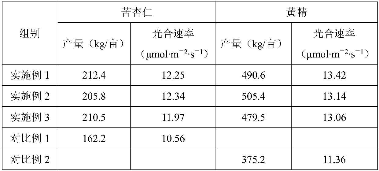 Method for interplanting rhizoma polygonati and astragalus sinicus in semen armeniacae amarae