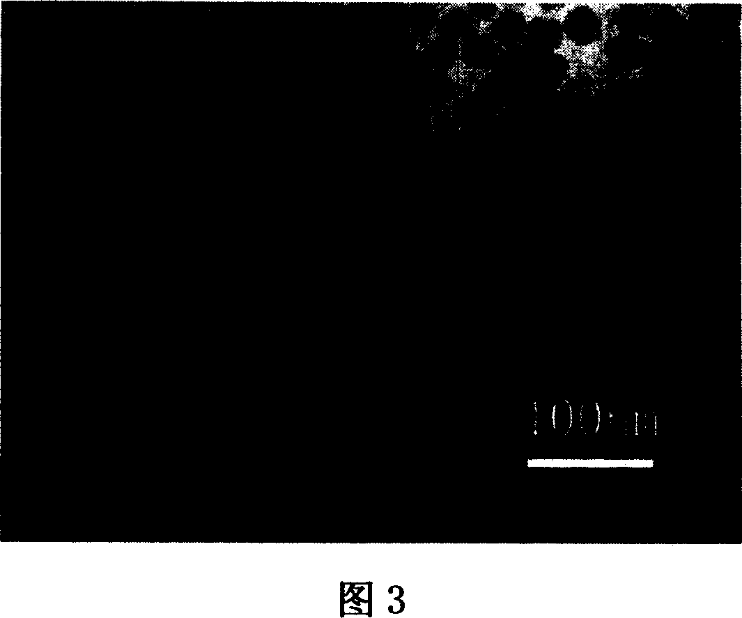 Prepn process of monodispersive silica sol