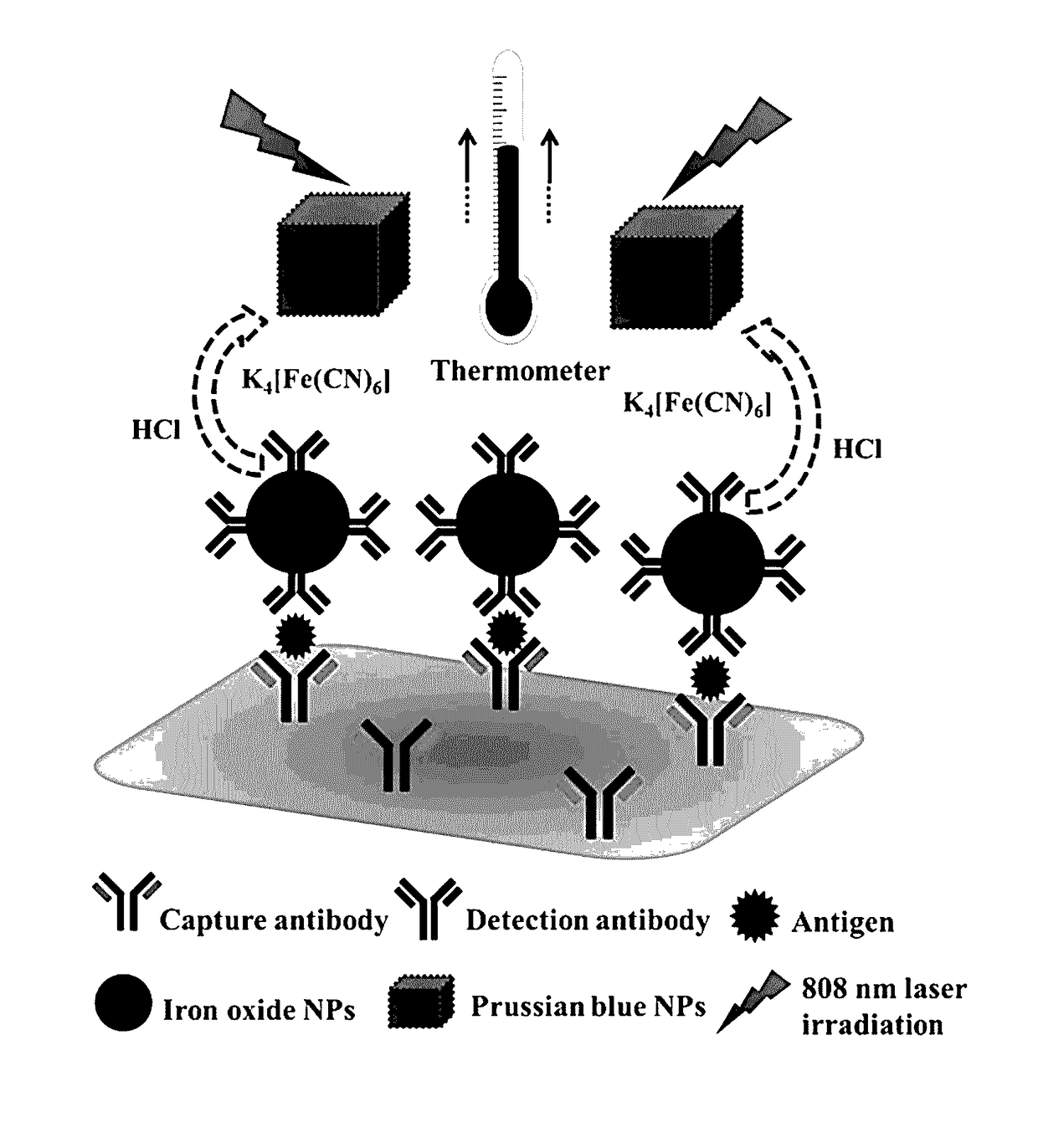 Nanomaterial-based photothermal immunosensing for quantitative detection of disease biomarkers