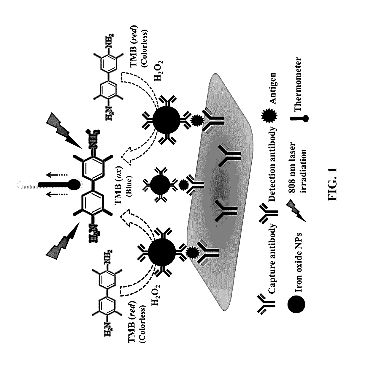 Nanomaterial-based photothermal immunosensing for quantitative detection of disease biomarkers