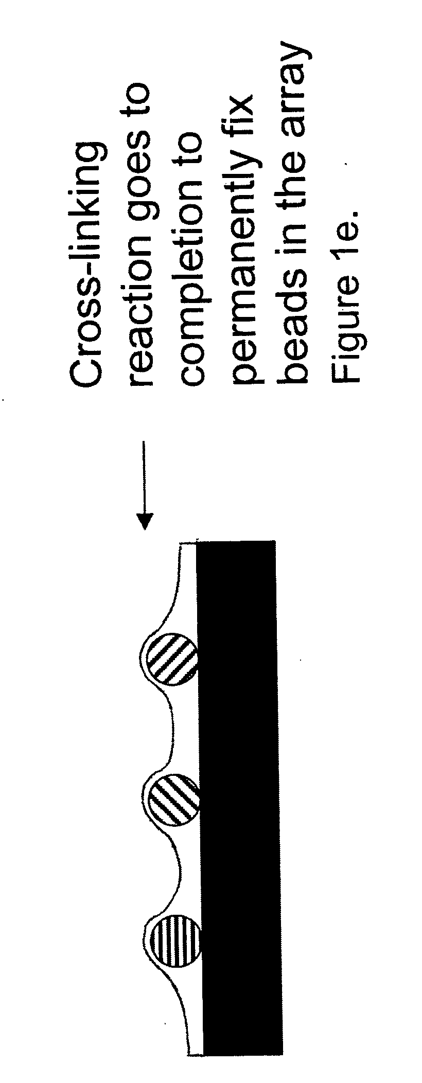 Random array of microspheres