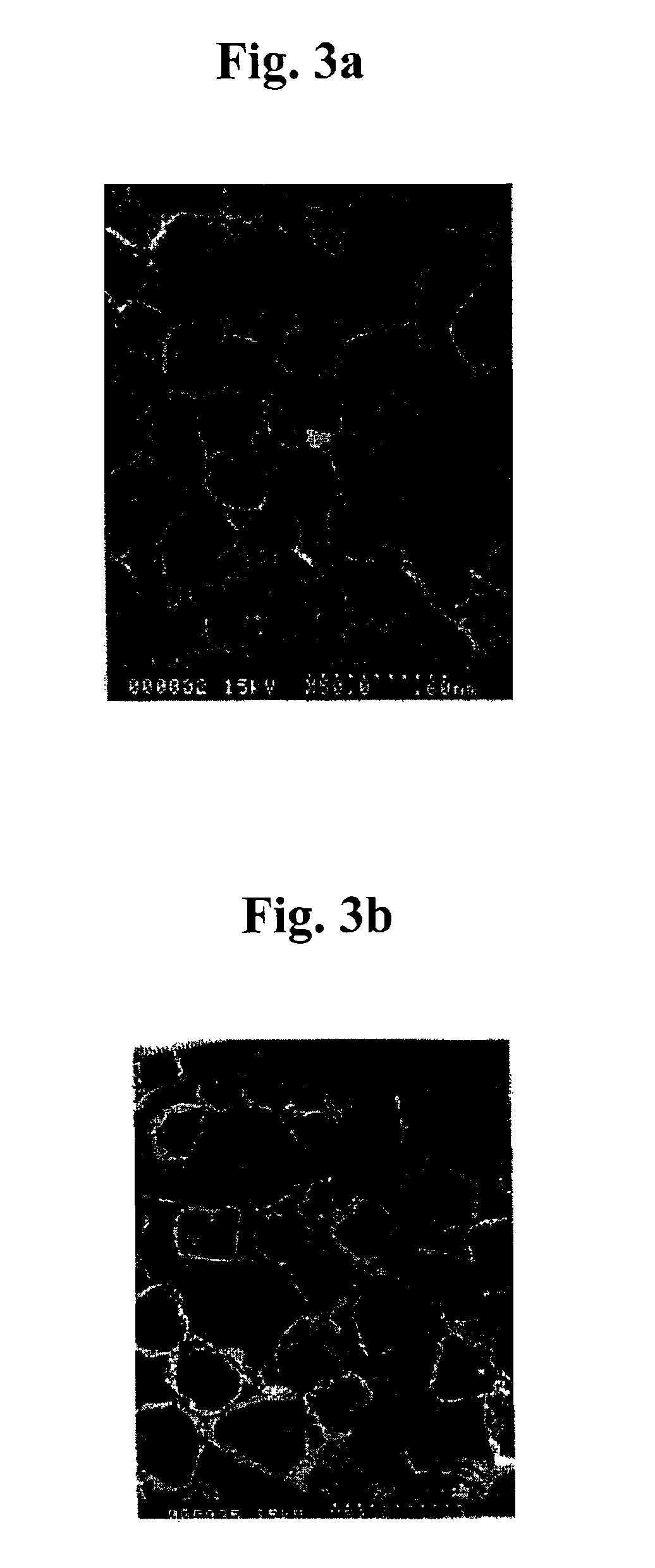 Medical materials and porous scaffolds for tissue engineering made from the biodegradable glycolide/epsilon-caprolactone copolymer