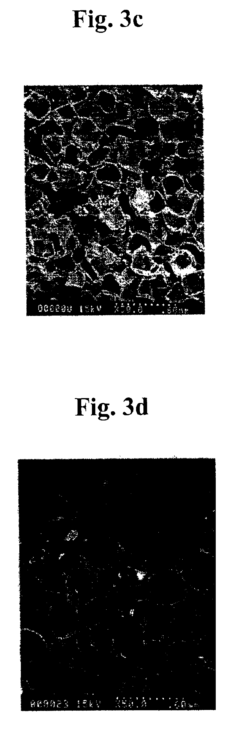 Medical materials and porous scaffolds for tissue engineering made from the biodegradable glycolide/epsilon-caprolactone copolymer