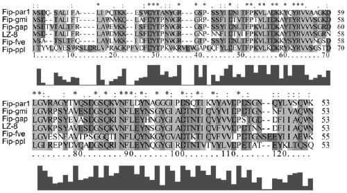 A kind of funnel macroporus immunoregulatory protein fip-par1 and its preparation method and application