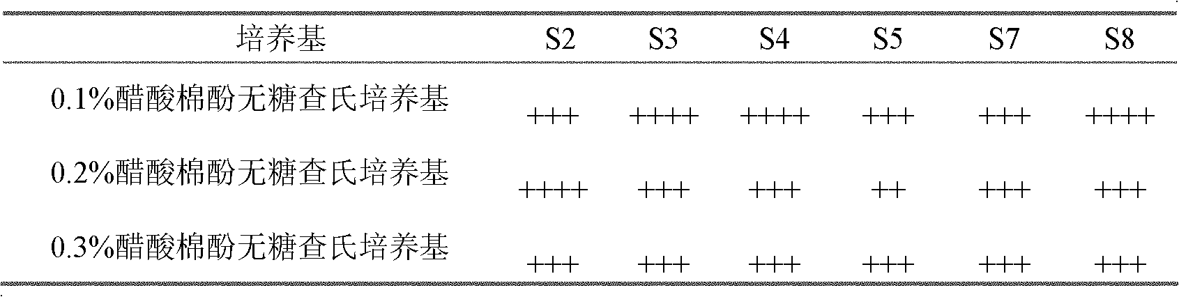 Gossypol acetate degrading bacteria S3