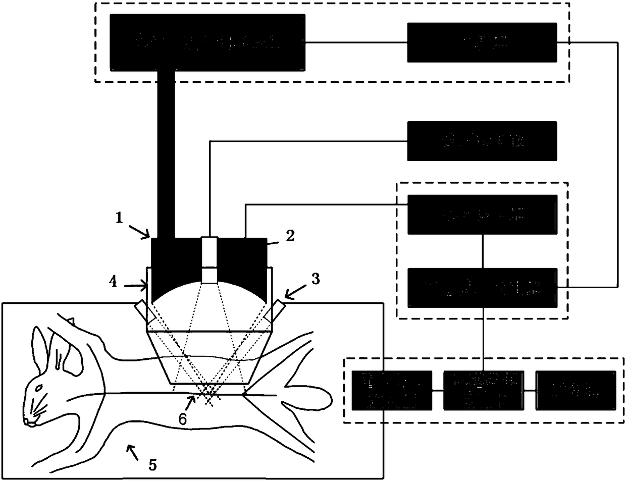 Method for establishing animal model of atherosclerotic plaque based on ultrasonic cavitation injury and device for vascular endothelial injury