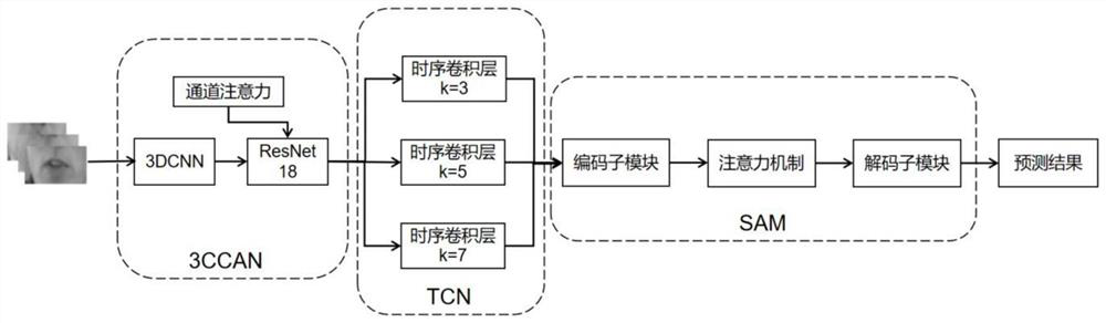 Sentence-level lip language recognition method based on channel attention and time convolutional network