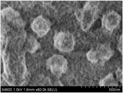 Improved magnetic silicon particles and method for nucleic acid purification thereof