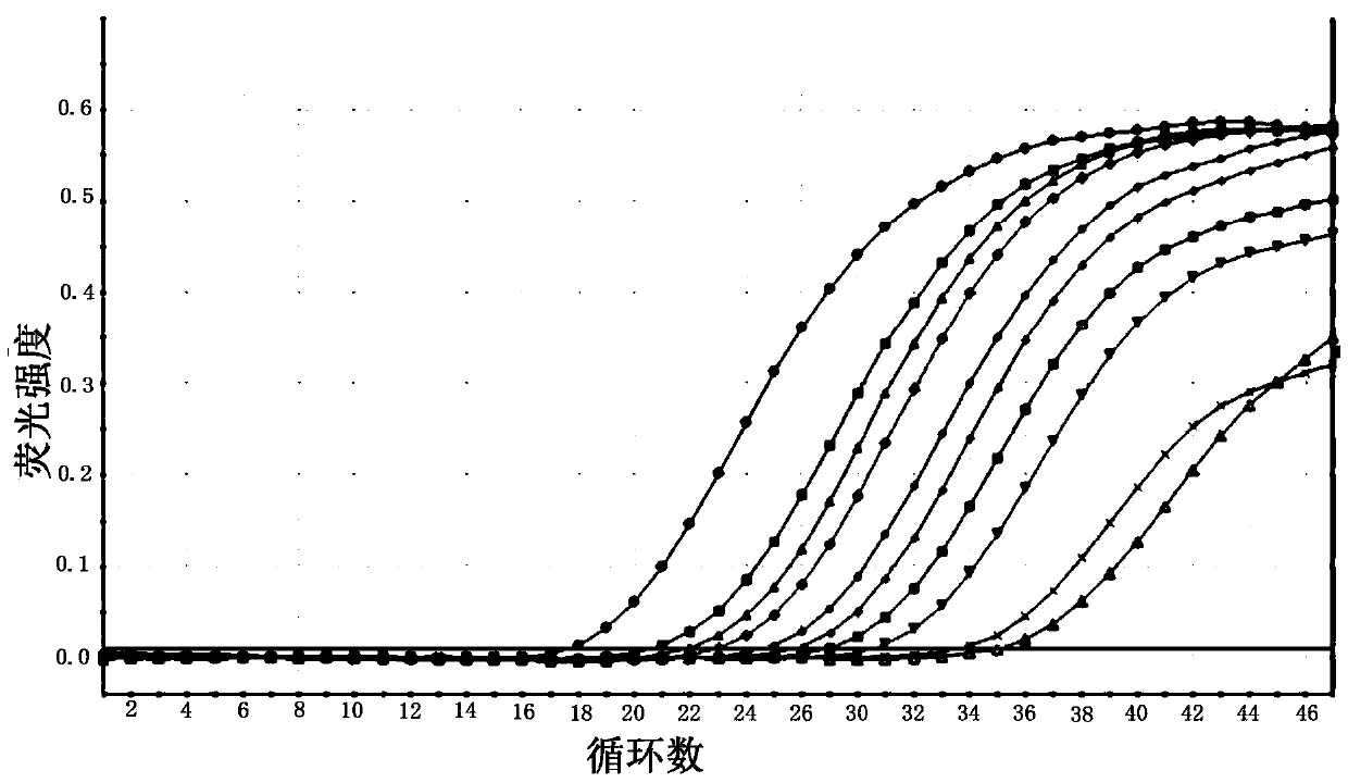 Group B streptococcus nucleic acid assay kit based on PCR (polymerase chain reaction) fluorescent probe method