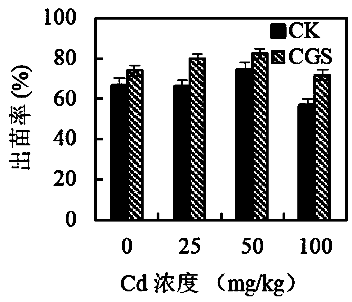 Method for repairing Cd or Pb contaminated soil by combining coal gasification slag with ryegrass