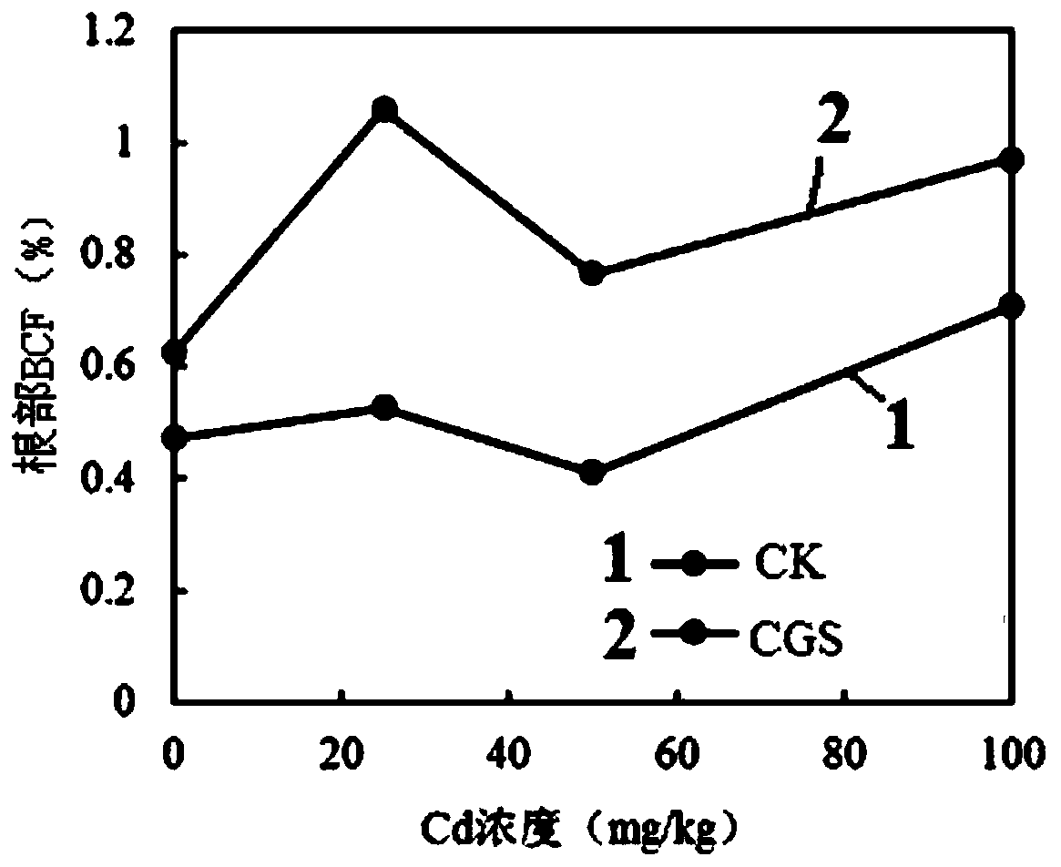 Method for repairing Cd or Pb contaminated soil by combining coal gasification slag with ryegrass