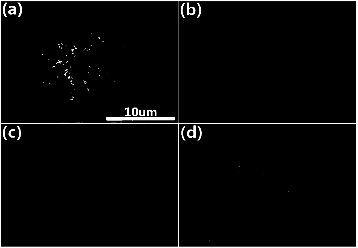 Ternary Cu-Co-P (copper-cobalt-phosphor) nanorod as well as preparation method and application thereof