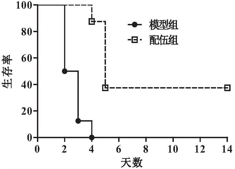 Composition containing melatonin and catechin as well as application of composition