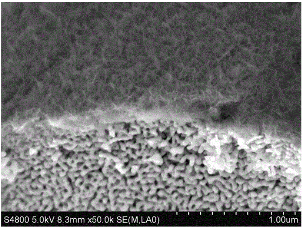 Three-dimensional nano porous copper/one-dimensional cuprous oxide nanowire network type lithium ion battery cathode and one-step preparation method thereof