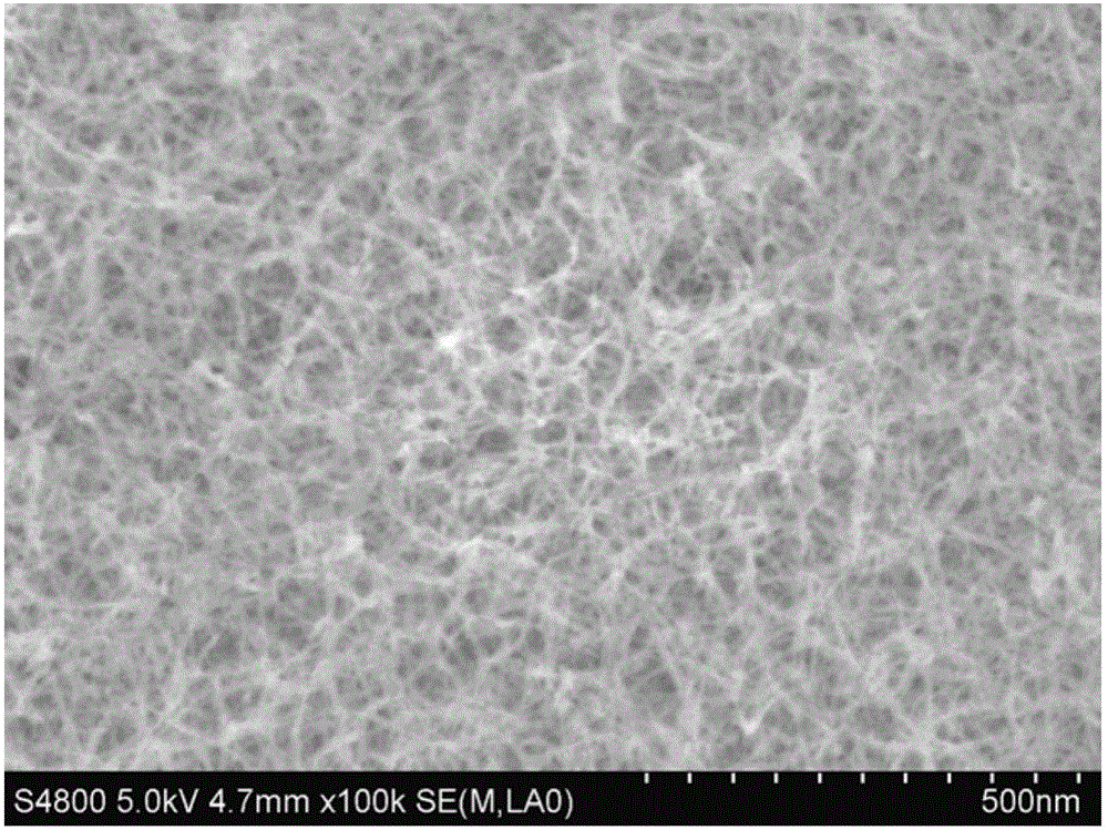 Three-dimensional nano porous copper/one-dimensional cuprous oxide nanowire network type lithium ion battery cathode and one-step preparation method thereof