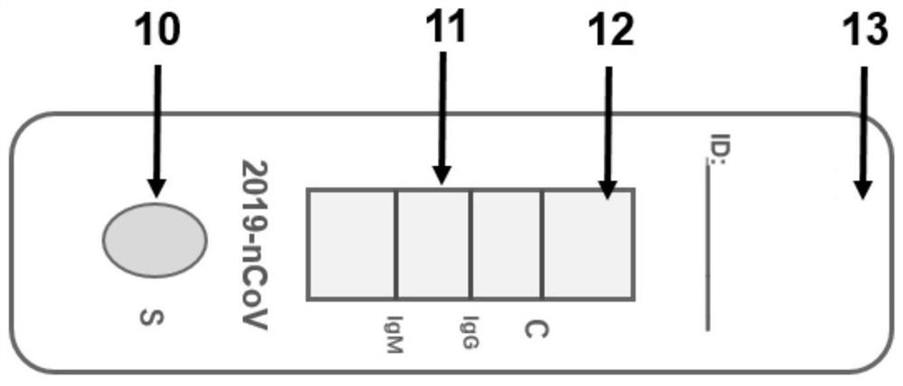 Colloidal gold test paper for novel coronavirus as well as preparation method and application of colloidal gold test paper