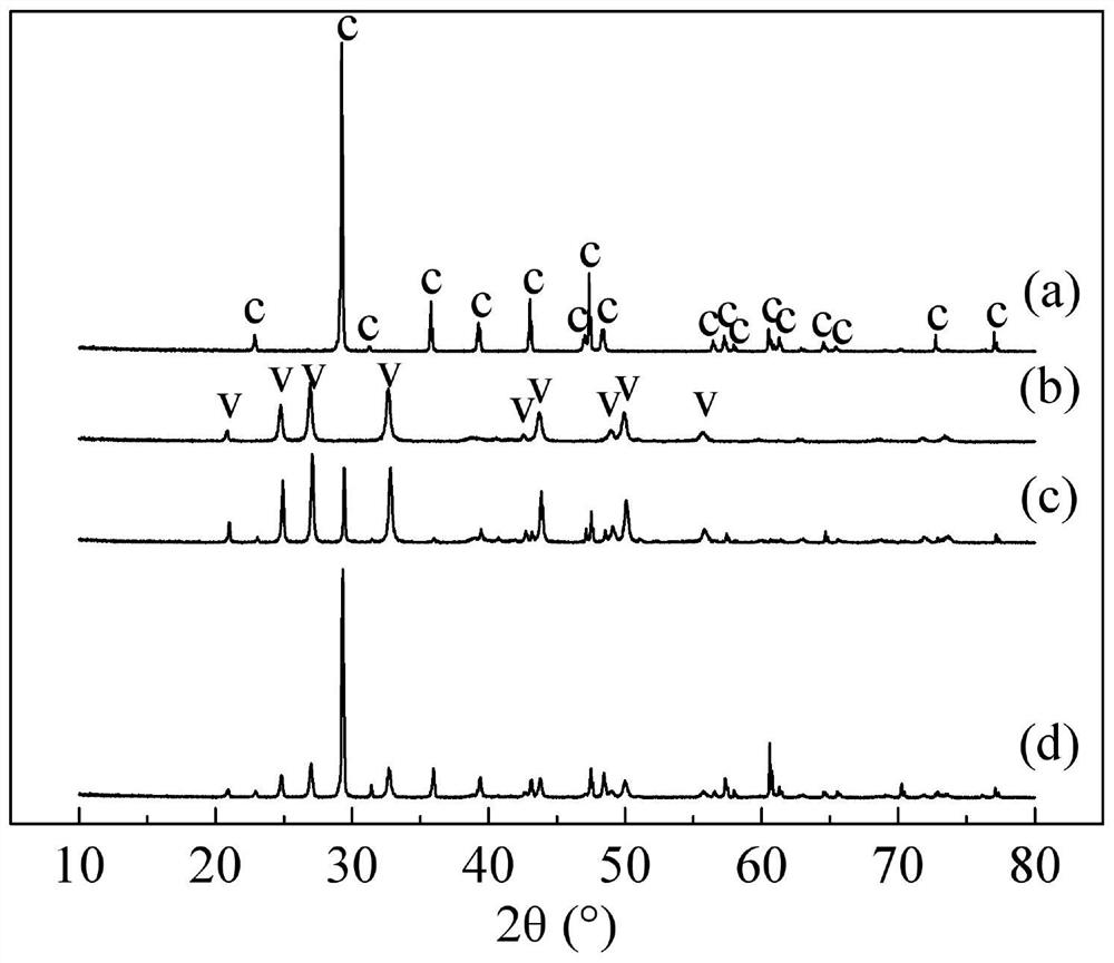 Method for preparing different crystal forms of calcium carbonate by microbial mineralization