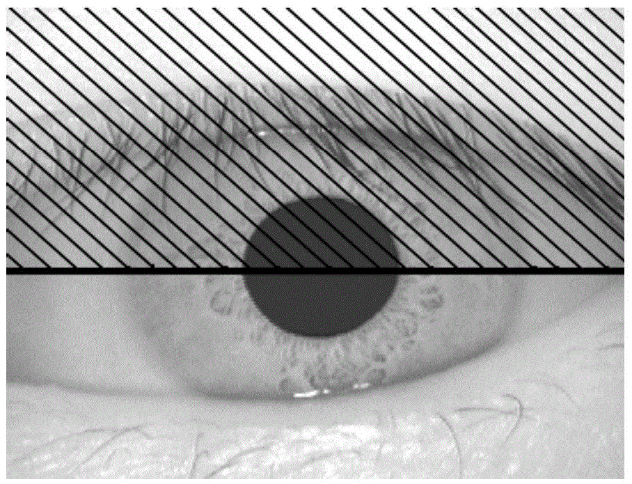 Method for extracting eyelashes based on improved ant colony algorithm