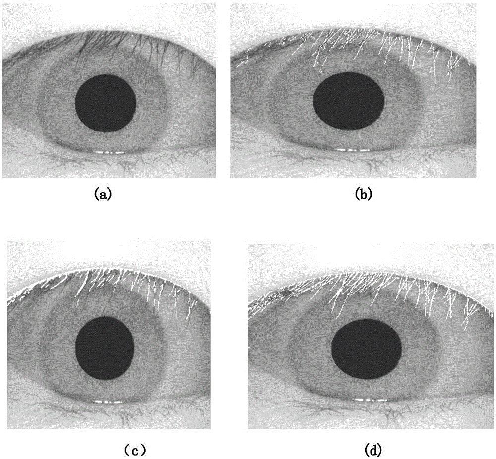 Method for extracting eyelashes based on improved ant colony algorithm