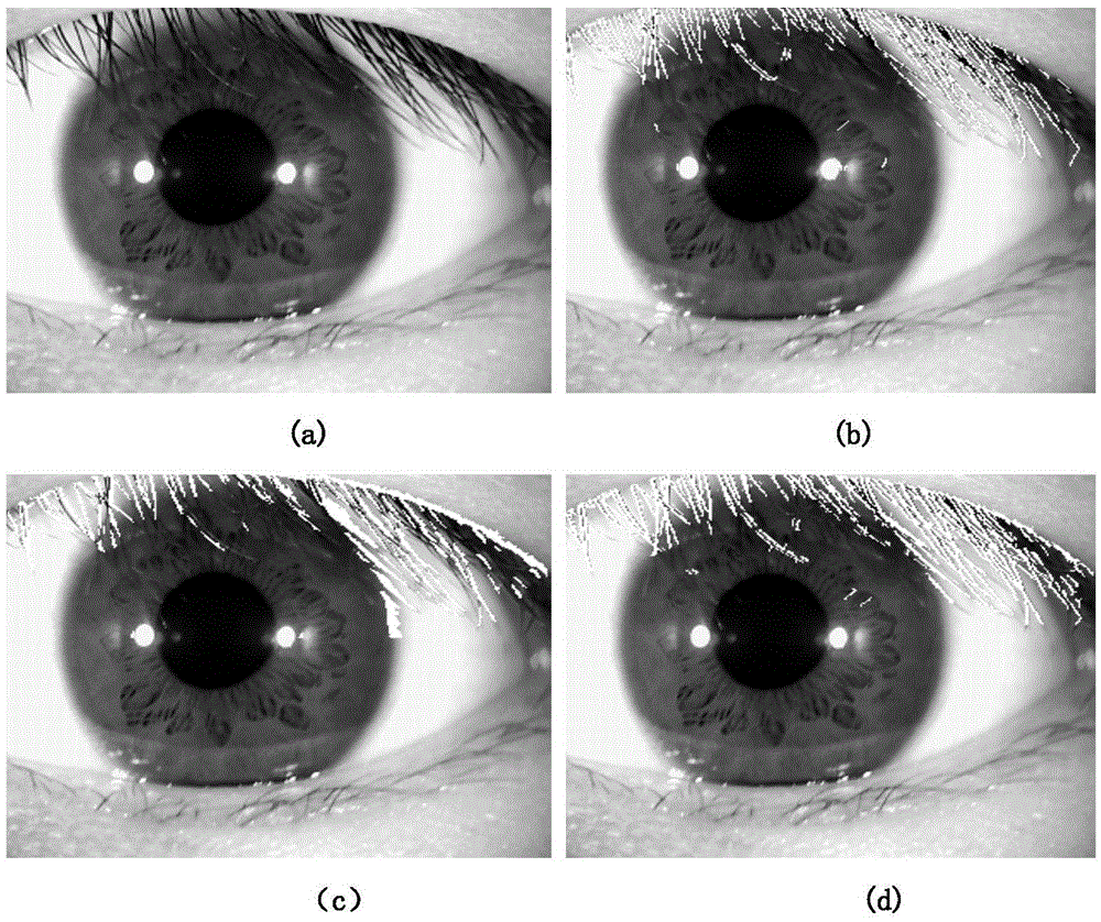 Method for extracting eyelashes based on improved ant colony algorithm