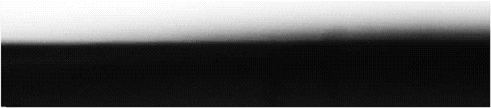 Preparation method of oil-water separation mesh film with super-hydrophilicity and super-lipophobicity