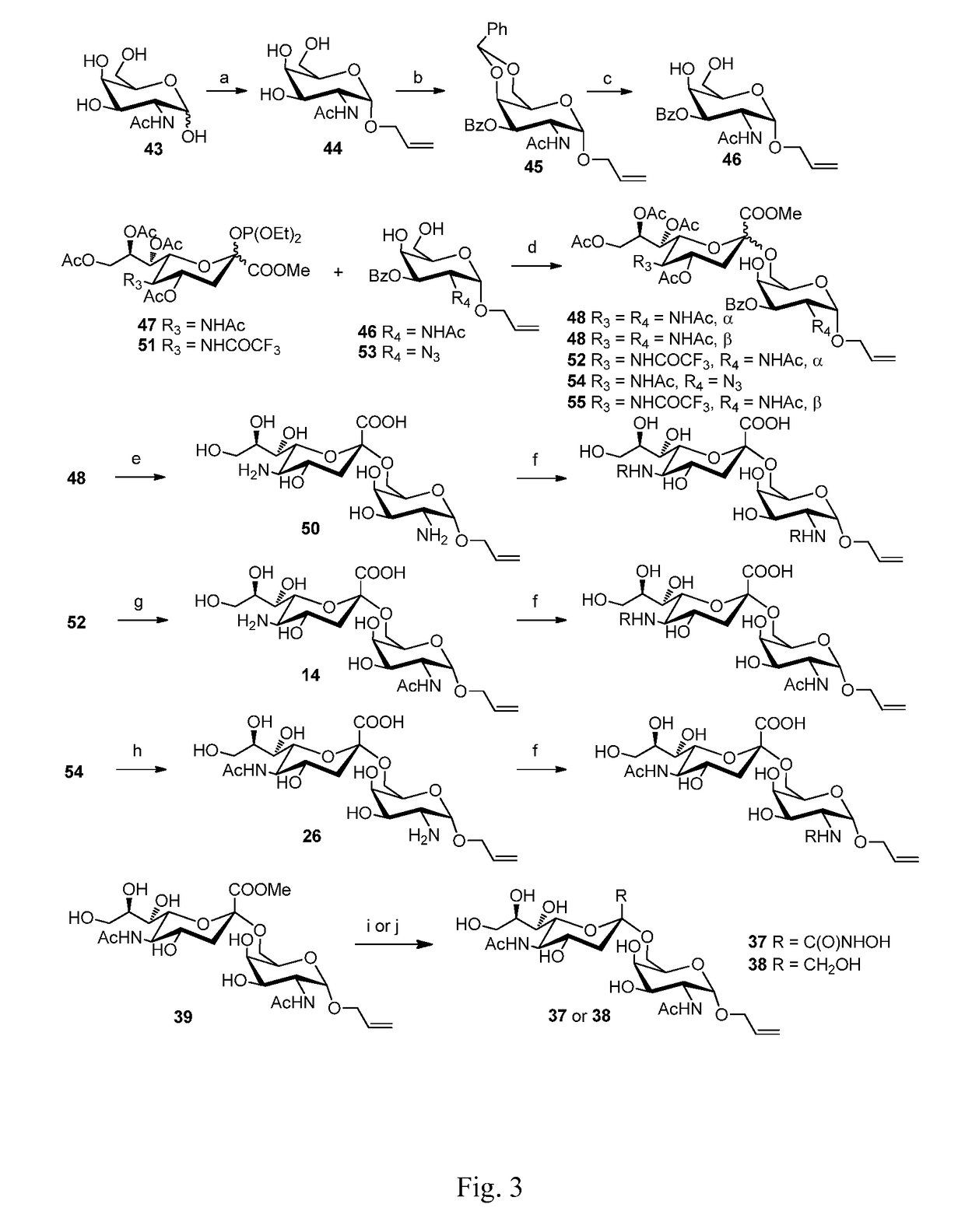 Sialic acid (A-(2-6))-D-aminopyranose derivatives, synthesis methods and uses thereof