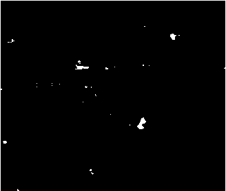 Method for rapidly preparing monolayer graphene oxide through one-pot method