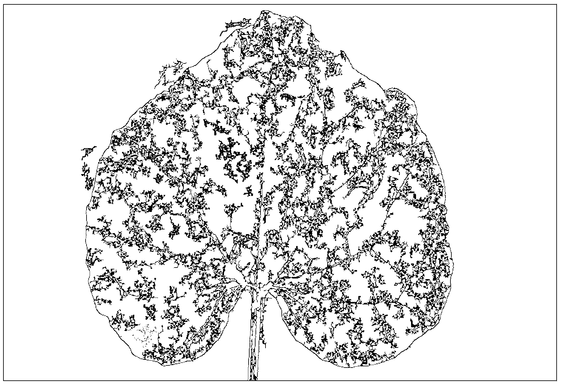 Method and system for acquiring disease severity of leaf under open field environment