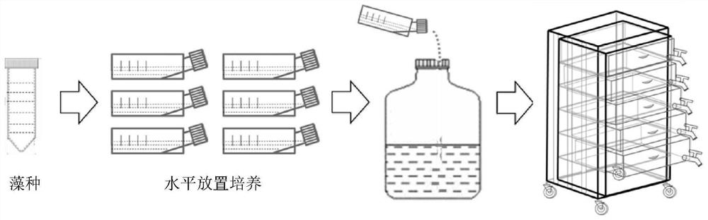 Large-scale continuous culture method of gambierdiscus