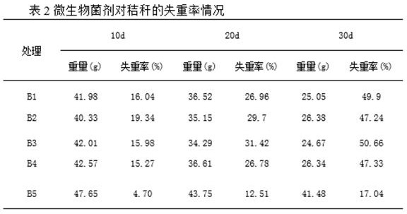 Preparation method and application of microbial agent for slope protection