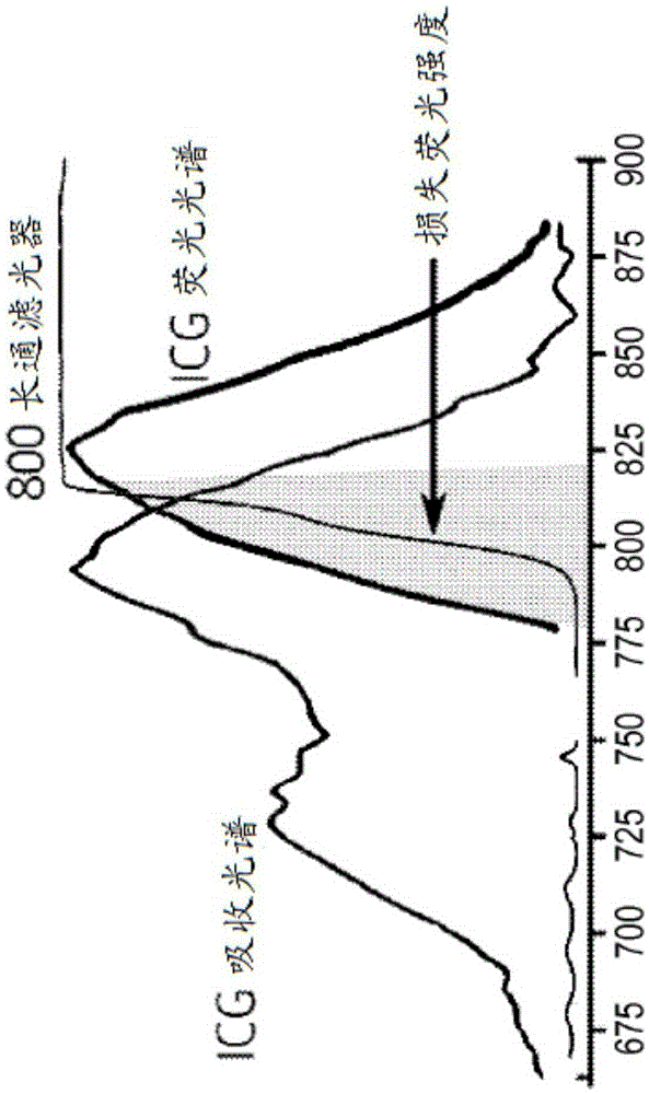 Systems and methods for recording simultaneously visible light image and infrared light image from fluorophores